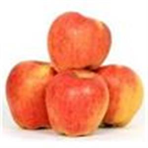 Apple Royal /Seb (4 pcs - 500 - 600 gm)